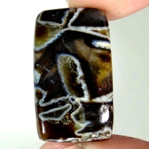 21.70Cts. 15X26X6mm. 100% Natural Designer Turkey Agate Cushion Cab Gemstone - Picture 1 of 5