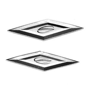 Crownline Boat Raised Decal 22017 | 4 5/8 x 1 3/8 Inch (Set of 2) - Picture 1 of 2