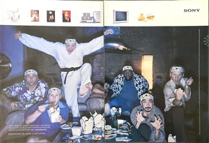 2002 - 2 SEITIGE PRINTANZEIGE - SONY DVD DREAM SYSTEM WEGA TV WERBUNG - KARATE KID SERIE - Bild 1 von 1