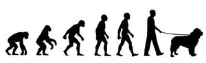 Newfoundland Dog Walker 'Evolution' car sticker, vinyl decal - Picture 1 of 3