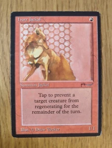 Hurr Jackal ~ Arabian Nights ~ Played **GamerzSphere** - Picture 1 of 2