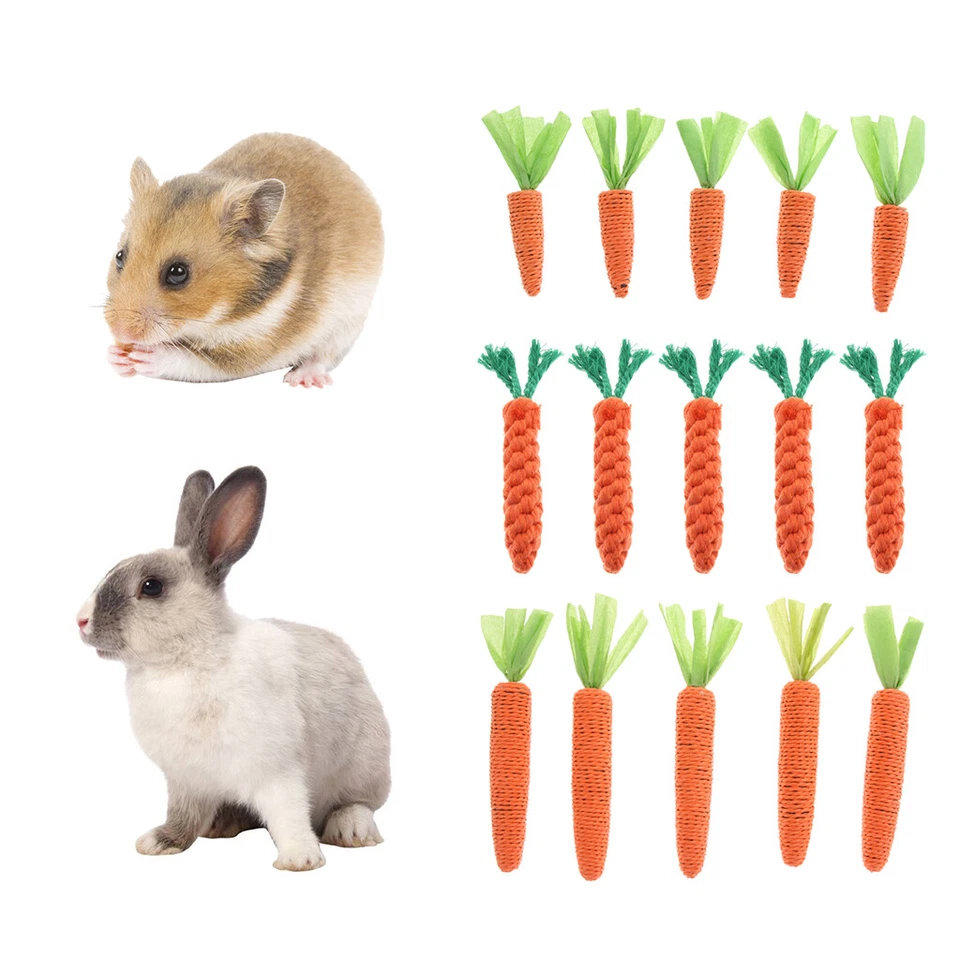 Lovely Hamster, Hase, spielen Kauen Spielzeug Seil Karotte Kauen Spielzeug