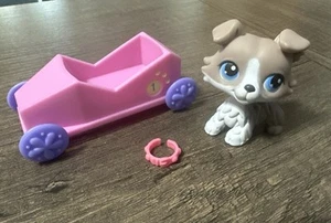 Littlest Pet Shop Dog 67 Collie Blue Eyes & Car, Collar - Picture 1 of 6