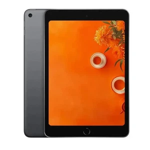 Apple iPad Mini 5 64GB Wifi Space Grey - Excellent Refurbished - Bild 1 von 2