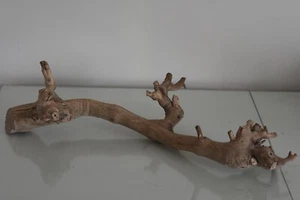 Vivarium, Exo Terra Ramo di Foresta Medio Circa 46 x 20 x 16 cm C Albero di Rettili - Foto 1 di 3