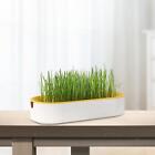 Seed Sprouter Tray Seed Germination Trays Soil Free Wheatgrass Growing Trays
