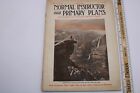 Antique Normal Instructor and Primary Plans Teachers Magazine June 1923 F4B