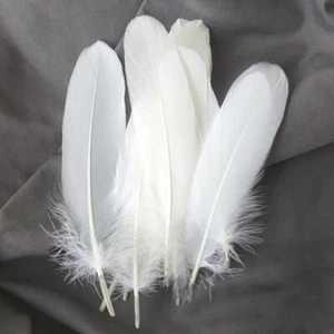 50x Nature Goose Feathers DIY Wedding Decor 6-8 inches 15cm to 20cm Mask Feather - Picture 1 of 9