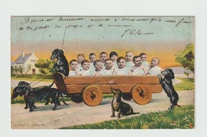 Humanized Dachshunds. Multiple Children CPA 2427 - Picture 1 of 2