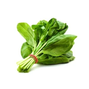 Fresh Spinach ( 3 Bunch ) - Picture 1 of 1