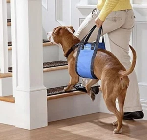 Pet Lifter Harness (medium)older and injured dogs Blue. Adjustable Strap - Picture 1 of 1