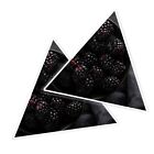 2x Triangle Shape Vinyl Stickers Blackberries Black Berry Fruit #50293