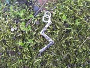 S -Sowilu , good health, Vitality, Viking Rune pendant, Norse - Picture 1 of 12