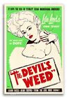 "The Devil's Weed" 1940 Reefer Vintage Style Dope Affiche - 16x24