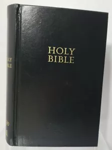 Santa Biblia Nueva Kng James Ver Impresión Gigante Palabras de Cristo ~ Rojo Antiguo/Nuevo Testamento - Imagen 1 de 8