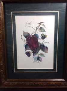Apples Framed Art Print by B. Sumrall, hand signed - Picture 1 of 1