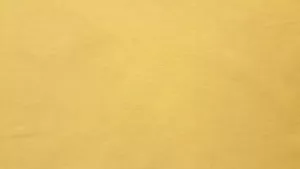 12" Wide - Yellow Poly/Cotton Fabric - 10 Yards - Picture 1 of 1