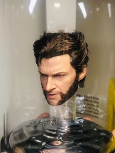 hottoys 1/6 5.0 rooted Wolverine head - Picture 1 of 1