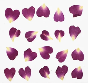 pressed flowers purple rose petals 20pcs floral art resin craft jewellery making - Picture 1 of 2