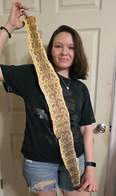 Timber Canebrake RATTLESNAKE snake skin hide pelt Leather Hide Costume Crafts - Image 1 of 4