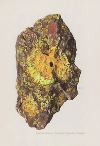 Uranpechblende Uraninit Farbdruck 1967 Mineralien Gesteine C. Caspari - Bild 1 von 1