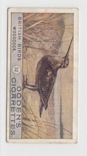 1909 Ogdens - British Birds, Second Series - 52 Woodcock
