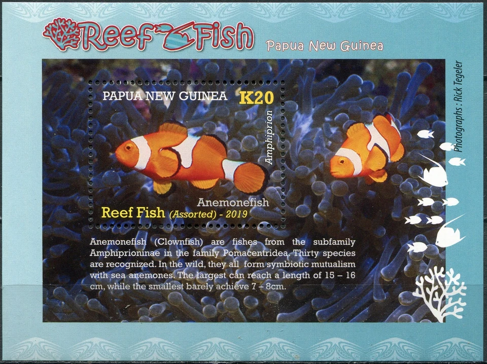 Papua New Guinea 2019. Anemonefish (MNH OG **) Souvenir Sheet - Image 1 of 1