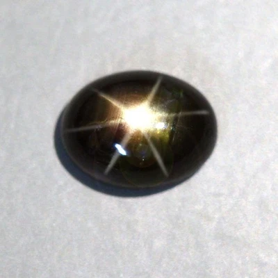 2.88 Cts_Loose Gemstone_100 % Natural Unheated Golden Black Star Sapphire - Image 1 of 3