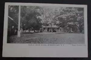 Maple Grove Hotel BURDEN LAKE, NY (Rensselaer County) Pubblicato da Harry Clifton - Foto 1 di 2