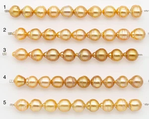 10-11mm Golden South Sea Pearls, Natural Gold Color, For Jewelry Making Necklac - Picture 1 of 55