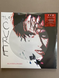The Cure Bloodflowers Picture Disc 2LP/Vinyl RSD 2020 New/Sealed - Bild 1 von 4