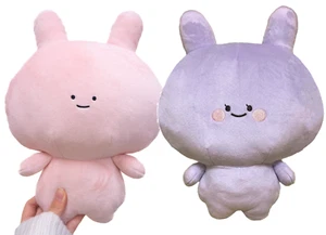Set di peluche Asamimi-chan & Anemimi-chan 30 cm ufficiale LTD con bonus Cheki & messaggio - Foto 1 di 17