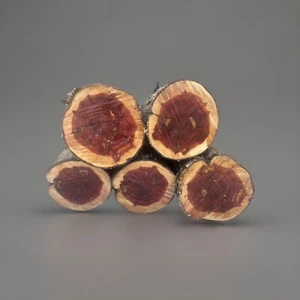 Extra Large Eastern Red Cedar Log (1) for Carving & Rustic Decor / Bowl Blank - Picture 1 of 13