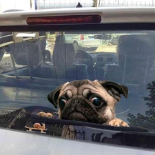 Car Funny 3D Pug Dogs Watch Snail Window Decal Cute Pet Puppy Laptop Sticker