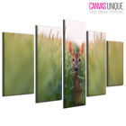 5Pa494 Small Doe Deer In Tall Grass 5Pcs Framed Canvas Wall Decor Ready To Hang