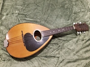 1920's Weymann Mandolute - Picture 1 of 12