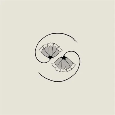 Godspeed You! Black Emperor G_d'S Pee at State'S End! (Vinyl LP) - Immagine 1 di 2