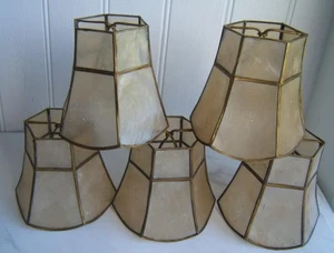 5 PANTALLAS LÁMPARAS CAPIZ SHELL VINTAGE - Imagen 1 de 9