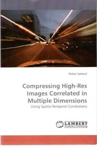 Kishor Saitwal / COMPRESSING HIGH-RES IMAGES CORRELATED IN MULTIPLE DIMENSIONS - Picture 1 of 1