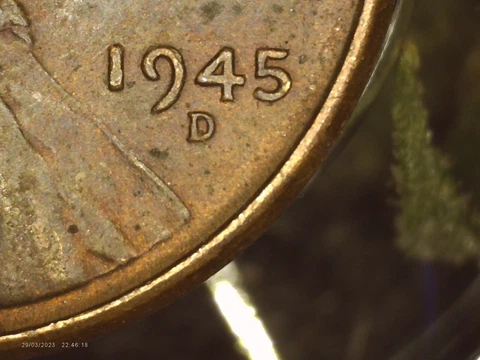 1945 D Wheat Penny DDO&DDR Beautifully Toned Cover