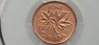 ERROR. 1955 Canada 1 Cent  No Strap (NSF) PCGS Genuine Cleaned-UNC  Detail