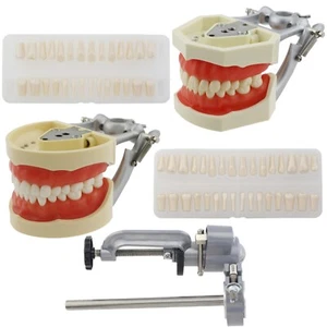 Tipodonte Dental Modelo Kilgore NISSIN 200 500 Dientes Montaje Poste Restauración - Imagen 1 de 80