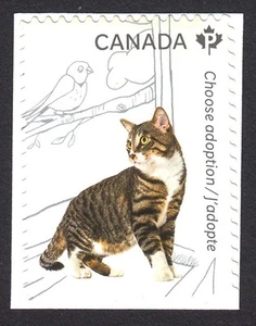 TABBY CAT * ADOPT A PET - Canada 2013 #2637 MNH SINGLE stamp cut from booklet - Picture 1 of 1