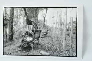 PHOTO Argentique, RC Chine ENFANT reportage en Chine 10x15cm 1990 Olivier Culman - Picture 1 of 1