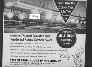 DENVER MILE HIGH KENNEL CLUB WINDHUNDRENNEN IN DENVER COLORADO 1959 AD - Bild 1 von 2