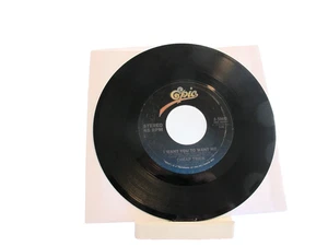 45 RECORD - CHEAP TRICK - I WANT YOU TO WANT ME - Imagen 1 de 1