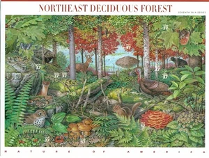 US 2005 Nature of America Northeast Deciduous Forest; 37 Cents, MNH Sc 3899 - Picture 1 of 1