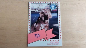 1994 Canine Enforcement US Customs Card Tia Labrador Otay Mesa California CA Dog - Picture 1 of 3