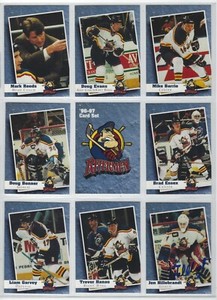 1996-97 Peoria Rivermen (ECHL) complete 25 card set