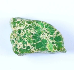 USA Green Carico Lake Turquoise 15,60 Ct Natural Rough Slab AGI Certified T14579 - Bild 1 von 7